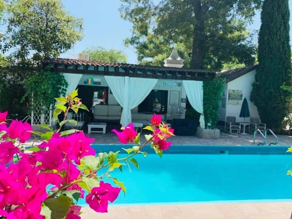 La Casita Inn Bustamante Exterior photo